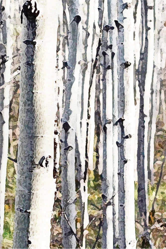 Birch Trees with Effects