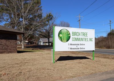 Birch Tree Evergreen Location